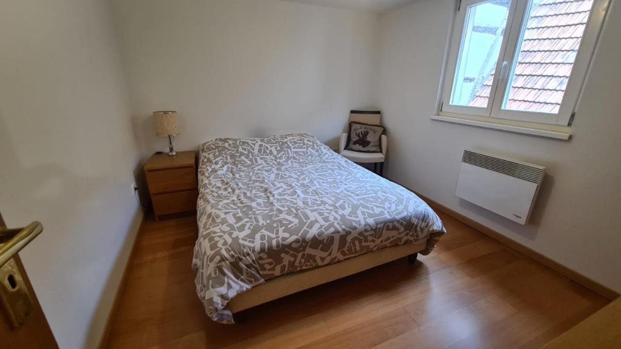 Le Bonheur Est Parfois Cache Dans L'Inconnu Apartment Sélestat Exterior foto